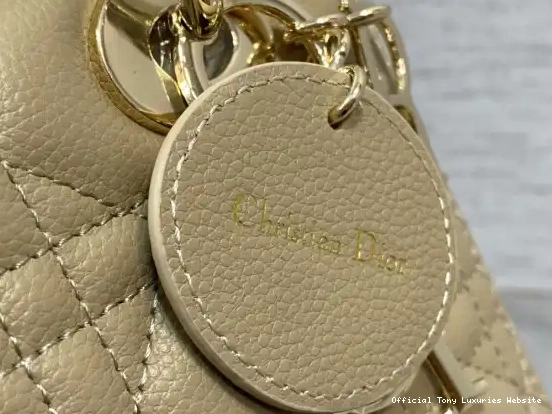 Tony Luxuries Lady diro Gold large Calfskin-24cm 0629